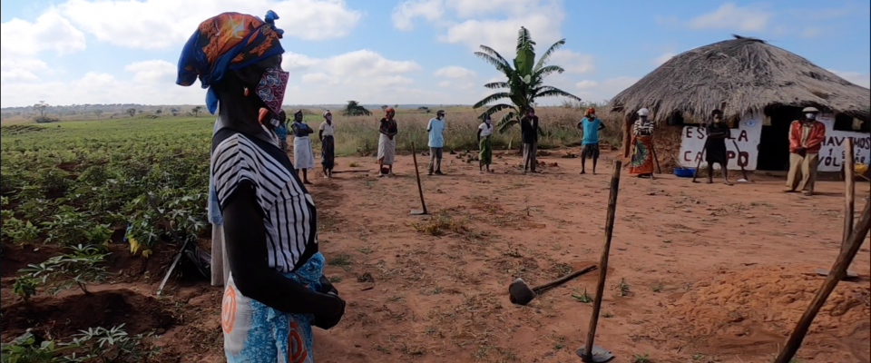 Stopping COVID-19 from reaching family farmers in Angola through farmer field schools